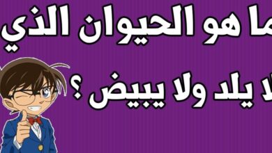 الألغاز سهلة