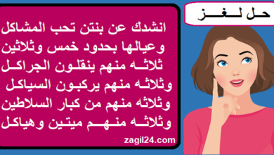 انشدك عن بنتن تحب المشاكل