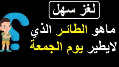 ماهو الطائر الذي لايطير يوم الجمعة