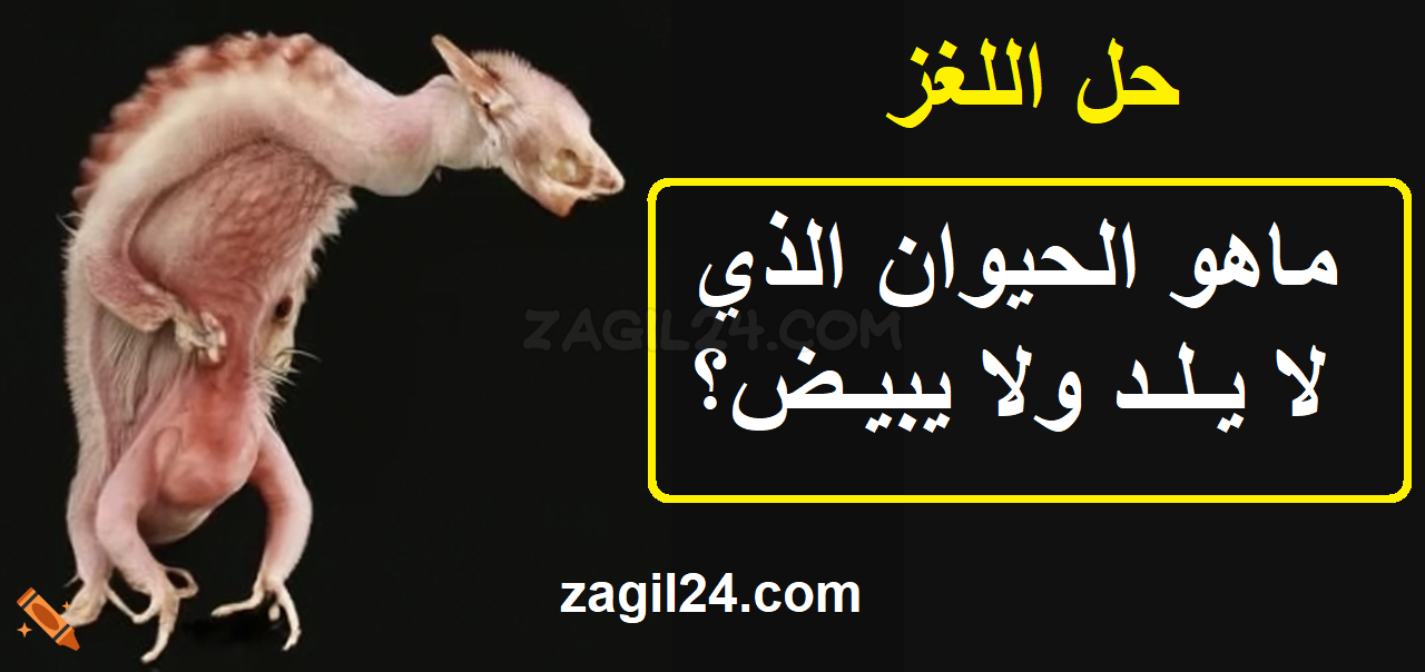 ماهو الحيوان الذي لا يلد ولا يبيض؟ الهيدرا الخالدة