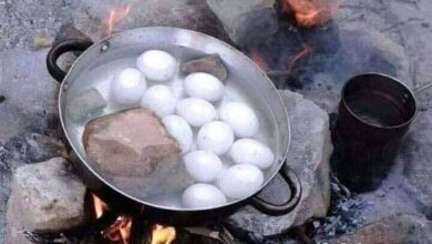 لماذا يتم وضع حجر أثناء سلق البيض؟