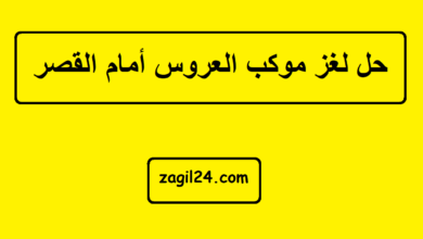 حل لغز موكب العروس أمام القصر